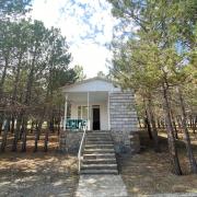 Կենարար Սոճի 