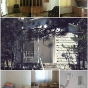 Կենարար Սոճի 