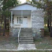 Կենարար Սոճի 