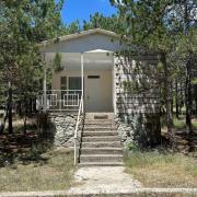 Կենարար Սոճի 