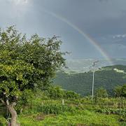 Շենլիկ հյուրատուն