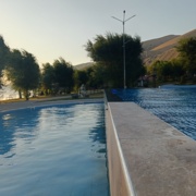 Դրախտիկա