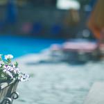 Ավան Մարագ Ծափաթաղ Հյուրանոց