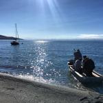 Հայկական Ճամբար