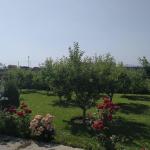 Էդեմ