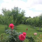 Էդեմ