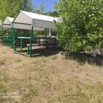 Զեփյուռ հանգստյան գոտի