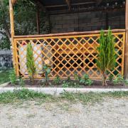 Զեփյուռ հանգստյան գոտի